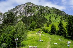 Hiking-in-Italy-Mt-Chiampon | FinnsAway