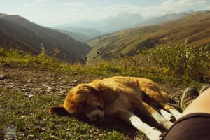 Multi-day trek from Mestia to Ushguli in Svaneti area, Georgia, is breathtaking. Hike 3-4 days in amazing views over snow-topped Caucasus mountain peaks, glaziers and Svan villages. | FinnsAway Travel Blog