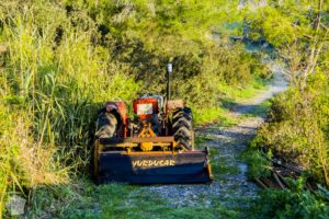 Accommodation in Karpaz Peninsula: Camalti farm stay