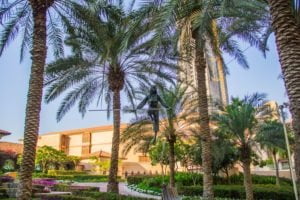 How presumptions of Dubai met reality – Dubai beyond the skyscrapers and luxury is something different, and suitable for every budget. | FinnsAway Travel Blog