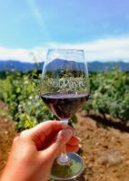 Peaceful Camping La Mignane in southern France is a small and budget-friendly family-run campsite, close to beaches, Pyrenees Mountains and Spanish border. | FinnsAway Travel Blog