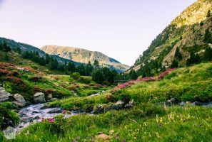 Sorteny Valley Nature Park | Introducing mountainous Andorra, a microstate between France and Spain | FinnsAway Nomad Travels