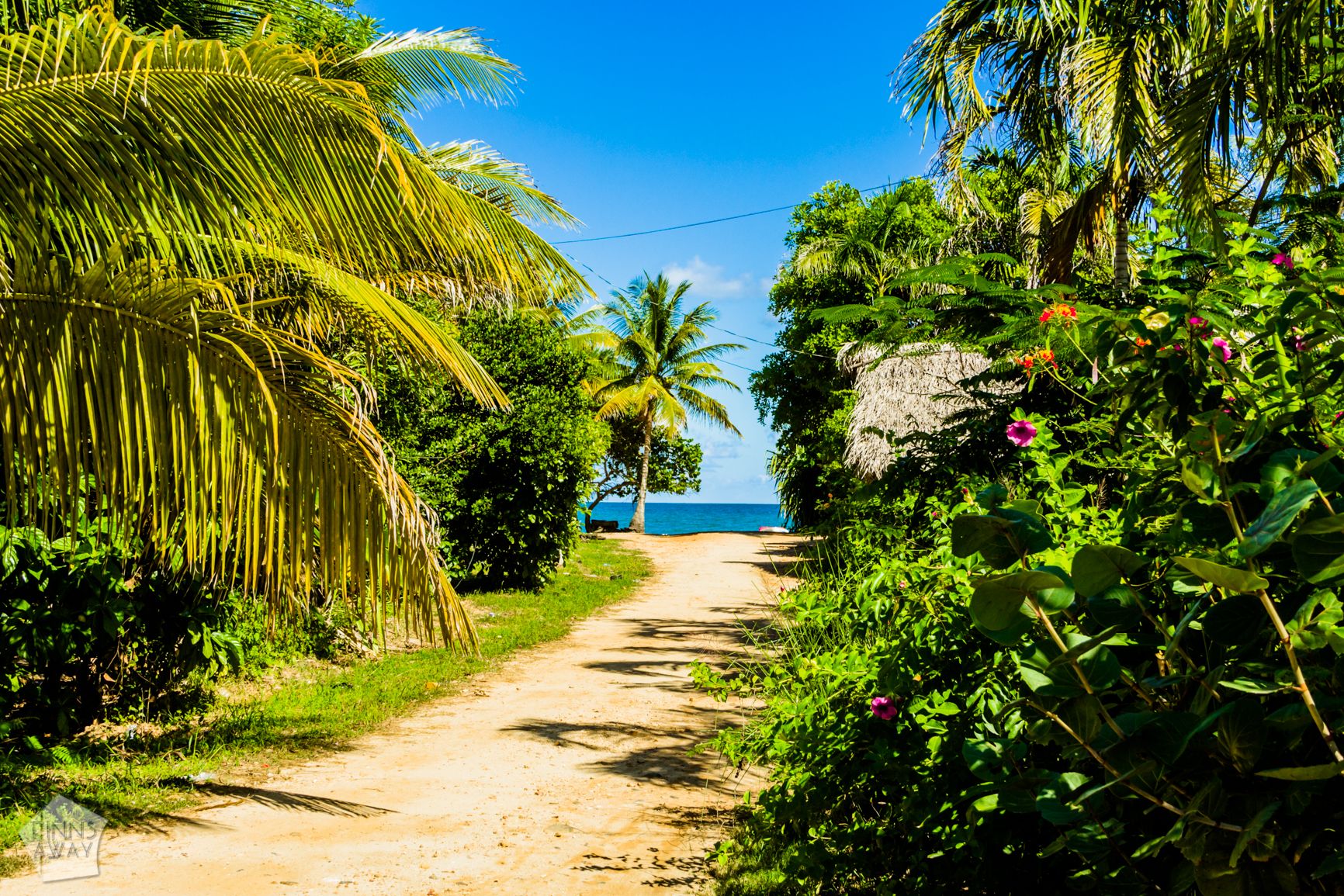 Path to the beach | Travel guide to Hopkins, Belize | FinnsAway Travel Blog